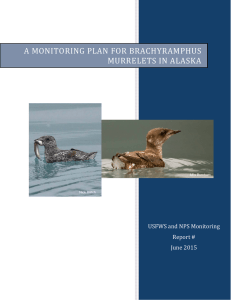 A MONITORING PLAN FOR BRACHYRAMPHUS MURRELETS IN ALASKA USFWS and NPS Monitoring