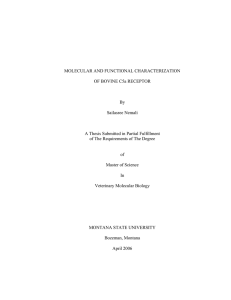 MOLECULAR AND FUNCTIONAL CHARACTERIZATION OF BOVINE C5a RECEPTOR  By