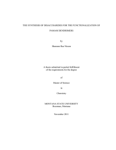 THE SYNTHESIS OF DISACCHARIDES FOR THE FUNCTIONALIZATION OF PAMAM DENDRIMERS by