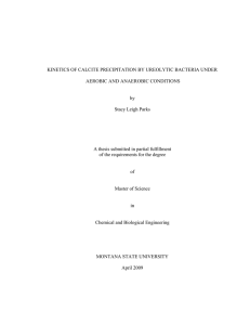 KINETICS OF CALCITE PRECIPITATION BY UREOLYTIC BACTERIA UNDER by