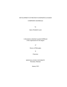 DEVELOPMENT OF PROTEIN NANOPARTICLE BASED COMPOSITE MATERIALS by