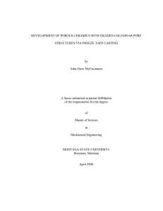 DEVELOPMENT OF POROUS CERAMICS WITH GRADED COLUMNAR PORE by