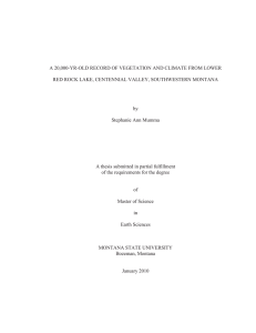 A 20,000-YR-OLD RECORD OF VEGETATION AND CLIMATE FROM LOWER