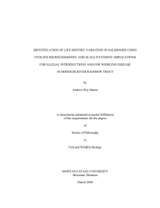 IDENTIFICATION OF LIFE HISTORY VARIATION IN SALMONIDS USING