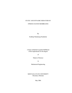 STATIC AND DYNAMIC BEHAVIOR OF STRESS COATED MEMBRANES By