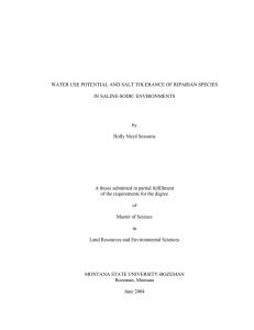 WATER USE POTENTIAL AND SALT TOLERANCE OF RIPARIAN SPECIES by