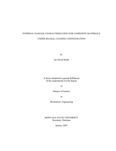 INTERNAL DAMAGE CHARACTERIZATION FOR COMPOSITE MATERIALS UNDER BIAXIAL LOADING CONFIGURATION by