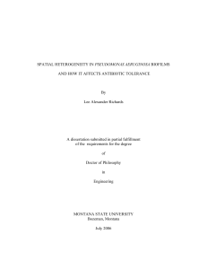 PSEUDOMONAS AERUGINOSA AND HOW IT AFFECTS ANTIBIOTIC TOLERANCE By