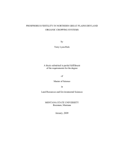 PHOSPHORUS FERTILITY IN NORTHERN GREAT PLAINS DRYLAND ORGANIC CROPPING SYSTEMS by