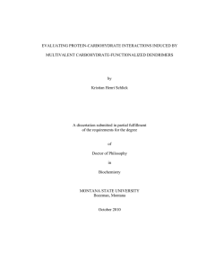 EVALUATING PROTEIN-CARBOHYDRATE INTERACTIONS INDUCED BY MULTIVALENT CARBOHYDRATE-FUNCTIONALIZED DENDRIMERS