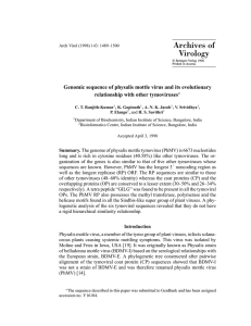 Genomic sequence of physalis mottle virus and its evolutionary