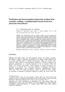 Purification and characterization of putrescine synthase from