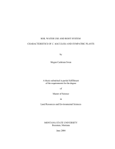 SOIL WATER USE AND ROOT SYSTEM C. MACULOSA by Megan Cashman Swan