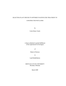 SELECTING PLANT SPECIES TO OPTIMIZE WASTEWATER TREATMENT IN CONSTRUCTED WETLANDS by