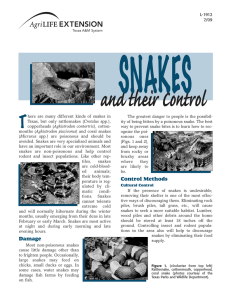 SNAKES and their Control T