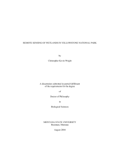 REMOTE SENSING OF WETLANDS IN YELLOWSTONE NATIONAL PARK by Christopher Kevin Wright