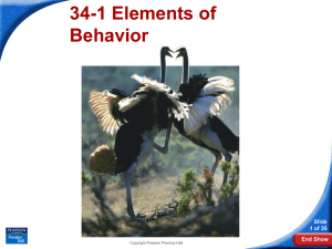 34-1 Elements of Behavior Slide 1 of 35