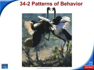 34-2 Patterns of Behavior Slide 1 of 35 End Show