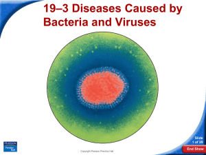 –3 Diseases Caused by 19 Bacteria and Viruses Slide