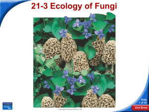 21-3 Ecology of Fungi Slide 1 of 23 End Show