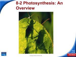 8-2 Photosynthesis: An Overview Slide 1 of 28