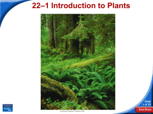–1 Introduction to Plants 22 Slide 1 of 33