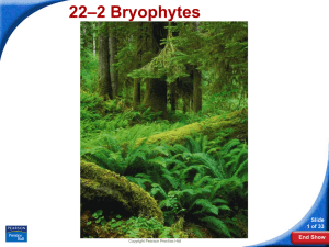 –2 Bryophytes 22 Slide 1 of 33