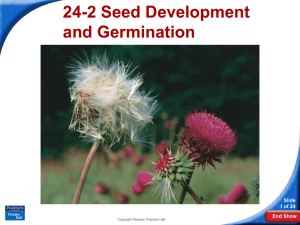 24-2 Seed Development and Germination Slide 1 of 24