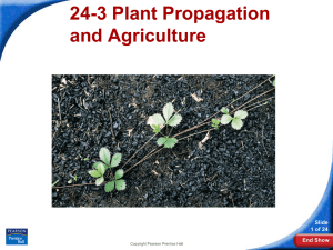 24-3 Plant Propagation and Agriculture Slide 1 of 24