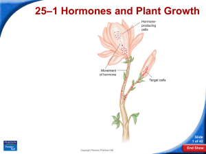 –1 Hormones and Plant Growth 25 Slide 1 of 42
