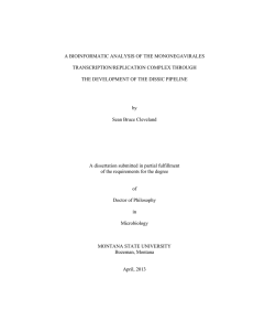 A BIOINFORMATIC ANALYSIS OF THE MONONEGAVIRALES TRANSCRIPTION/REPLICATION COMPLEX THROUGH