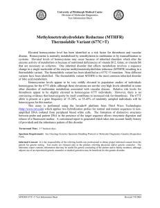 Methylenetetrahydrofolate Reductase (MTHFR) Thermolabile Variant (677C&gt;T)