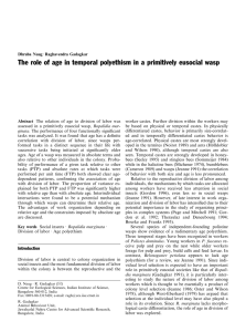 The role of age in temporal polyethism in a primitively...