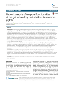 Network analysis of temporal functionalities piglets