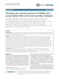 Decoding the massive genome of loblolly pine Open Access