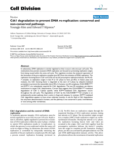 Cell Division Cdt1 degradation to prevent DNA re-replication: conserved and non-conserved pathways