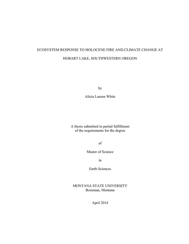 ECOSYSTEM RESPONSE TO HOLOCENE FIRE AND CLIMATE CHANGE AT by