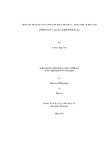 CERAMIC PROCESSING AND ELECTROCHEMICAL ANALYSIS OF PROTON by