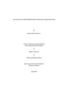 THE EFFECTS OF PRESCRIBED FIRE ON RIPARIAN GROUNDWATER by