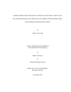 CHARACTERIZATING LOW-QUALITY FORAGE UTILIZATION:  FEED VALUE