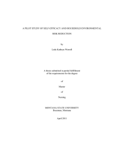 A PILOT STUDY OF SELF-EFFICACY AND HOUSEHOLD ENVIRONMENTAL RISK REDUCTION by