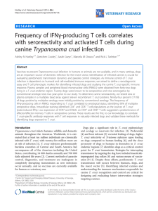 γ-producing T cells correlates Frequency of IFN Trypanosoma cruzi infection