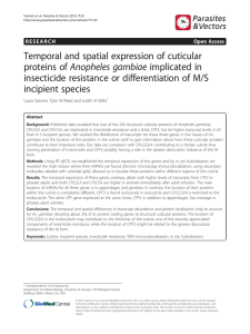 Temporal and spatial expression of cuticular