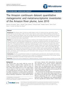 The Amazon continuum dataset: quantitative metagenomic and metatranscriptomic inventories
