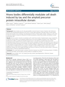 Hirano bodies differentially modulate cell death protein intracellular domain