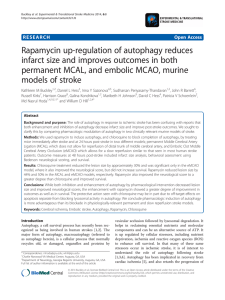 Rapamycin up-regulation of autophagy reduces permanent MCAL, and embolic MCAO, murine