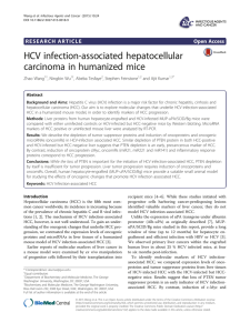 HCV infection-associated hepatocellular carcinoma in humanized mice Open Access