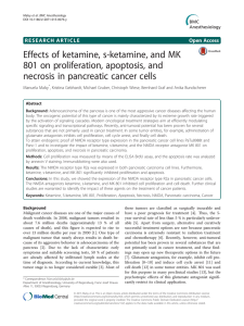 Effects of ketamine, s-ketamine, and MK 801 on proliferation, apoptosis, and