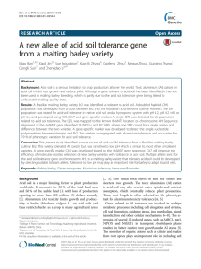 A new allele of acid soil tolerance gene Open Access
