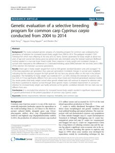Genetic evaluation of a selective breeding Cyprinus carpio program for common carp
